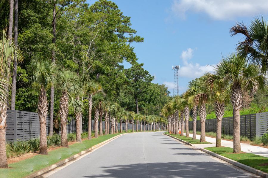 Natural landscape and outdoor views near Liberty Hill Farm in Mount Pleasant (Image 30).