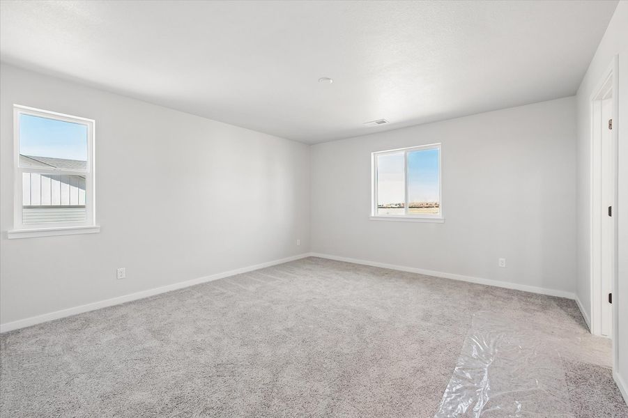A room with a carpet and windows.