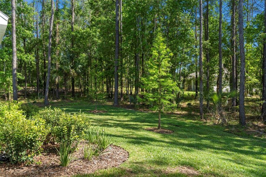 Natural landscape and outdoor views near  in Brooksville (Image 54).