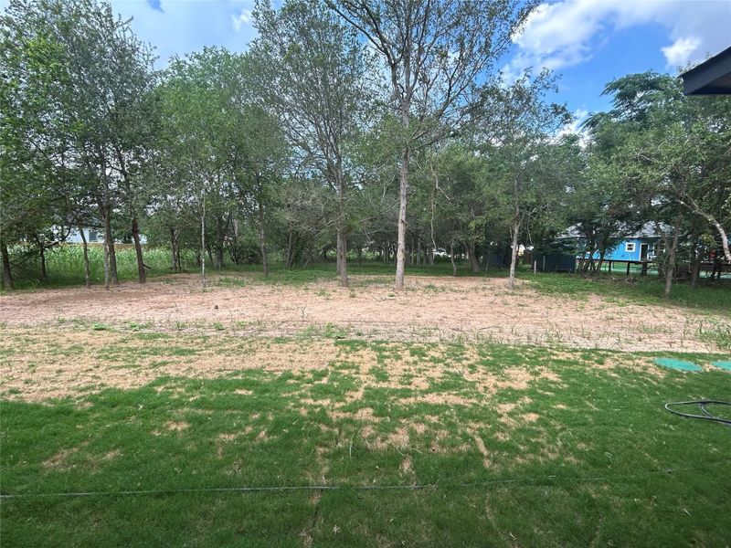 Natural landscape and outdoor views near  in Bastrop (Image 23).