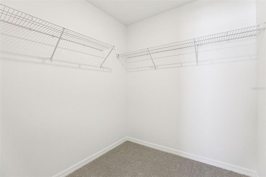 Spacious, unfurnished interior of a new home in The Meadow at Crossprairie Bungalows, St. Cloud (Image 70).