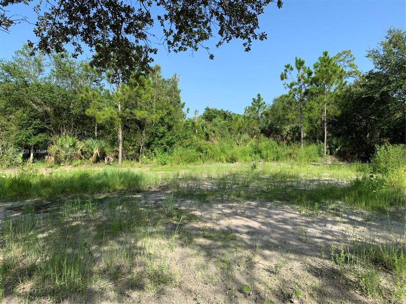 Exterior details and patio area of a home in , Lehigh Acres (Image 20). Exterior details and patio area of a home in , Lehigh Acres (Image 20).