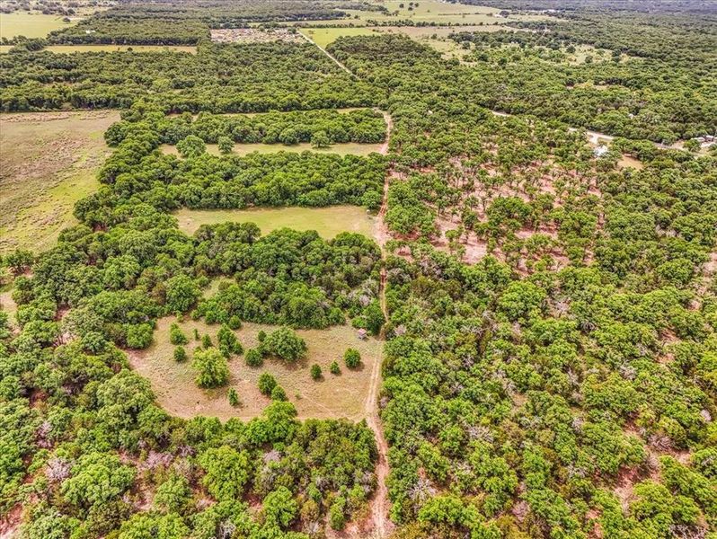 Expansive acreage featuring significant tree coverage and open clearings