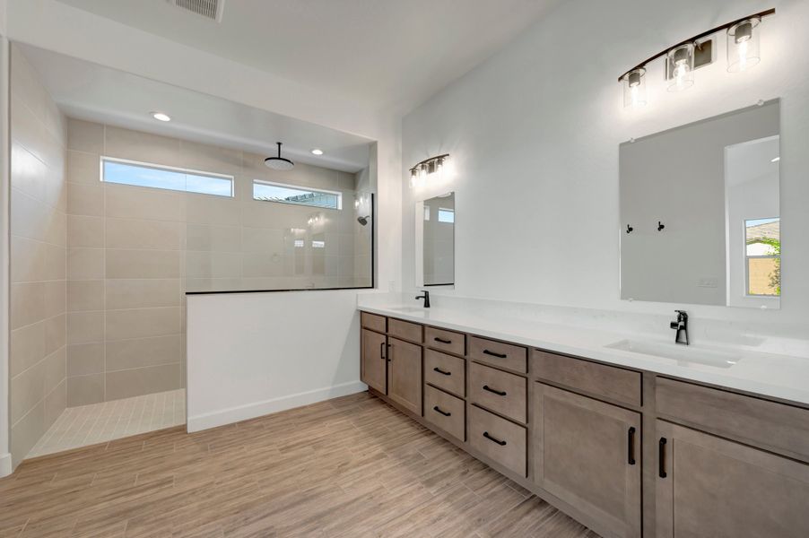Owner's Bath
