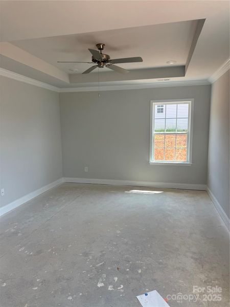 Tray Ceiling in Primary Bedroom