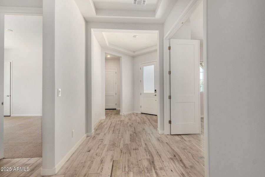 07 - Royal Palm 07 - Royal Palm