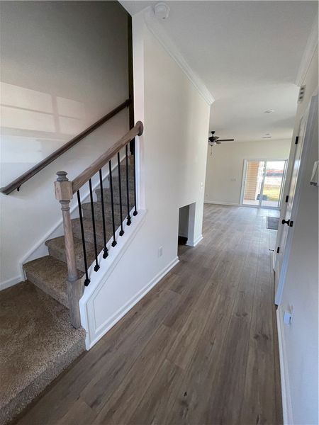 Spacious, unfurnished interior of a new home in Springwood Grove, Central (Image 9).