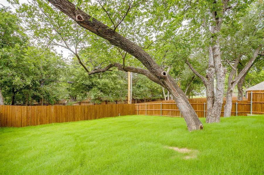 Exterior details and patio area of a home in , Fort Worth (Image 25). Exterior details and patio area of a home in , Fort Worth (Image 25).