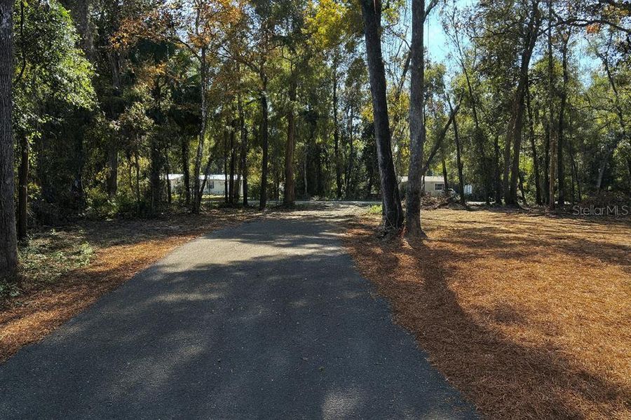 Natural landscape and outdoor views near  in Chiefland (Image 19).