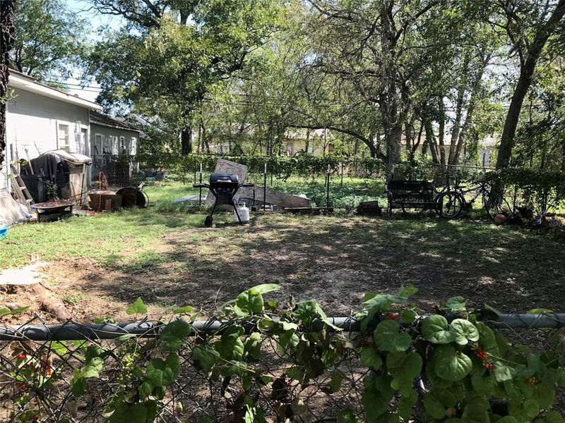 Natural landscape and outdoor views near in Whitney (Image 23). Natural landscape and outdoor views near in Whitney (Image 23).