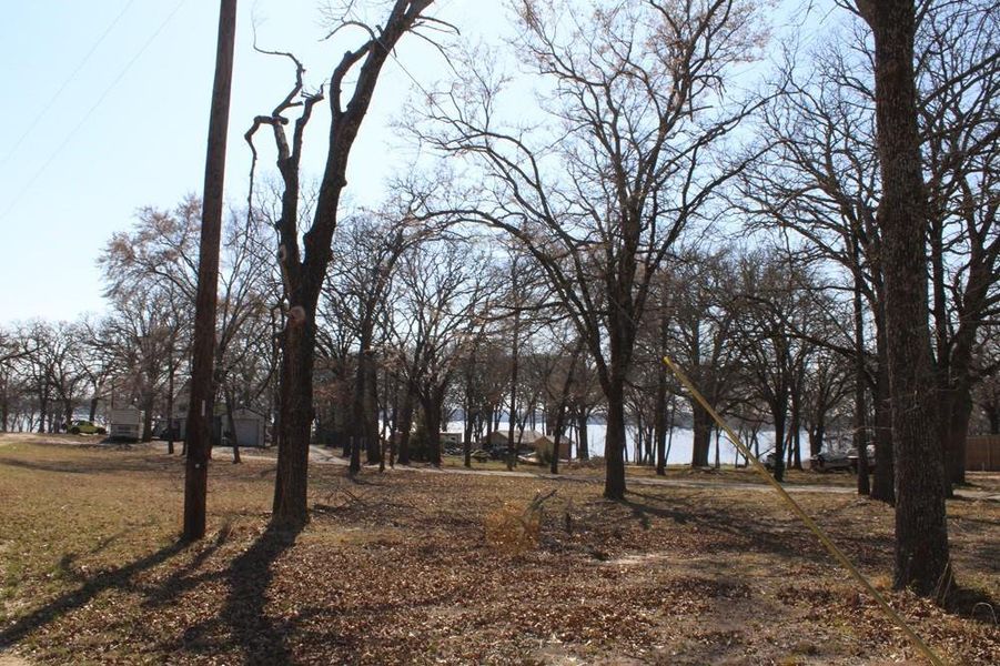 Natural landscape and outdoor views near  in Quinlan (Image 8).