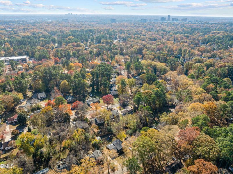 12-web-or-mls-DJI_0059