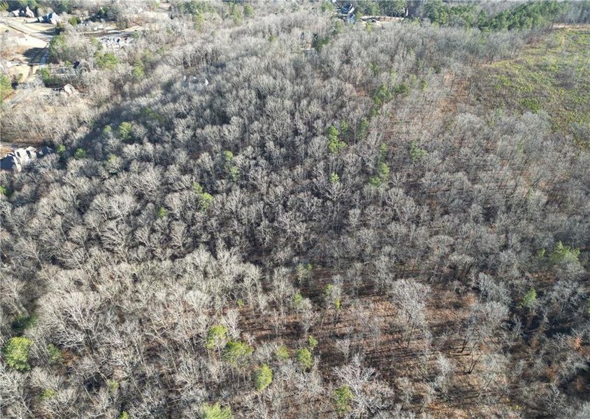Natural landscape and outdoor views near  in Cumming (Image 30).