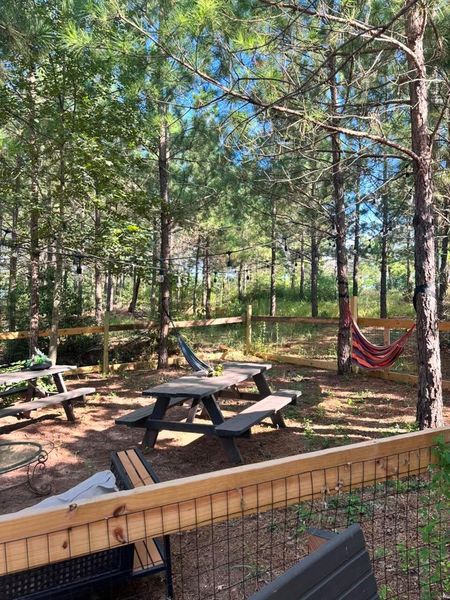 Escape to a peaceful backyard haven, complete with picnic areas, string lights, and hammocks under tall pines.