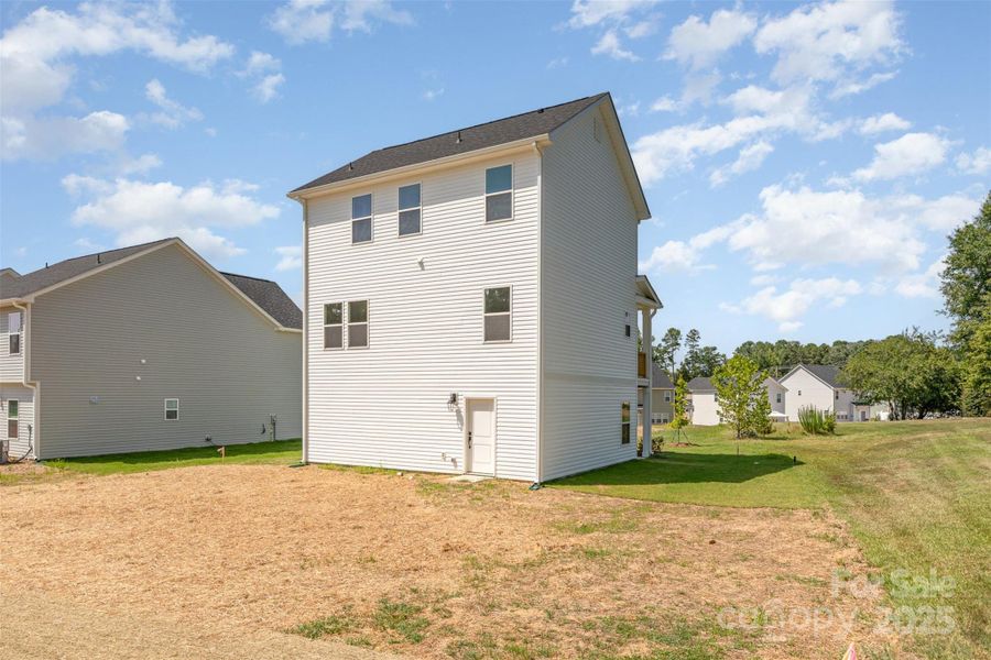 Banyan - Back View 2. Representational Photo Banyan - Back View 2. Representational Photo