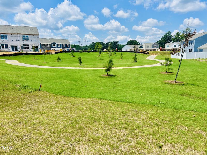 IMG_8570(2) IMG_8570(2)