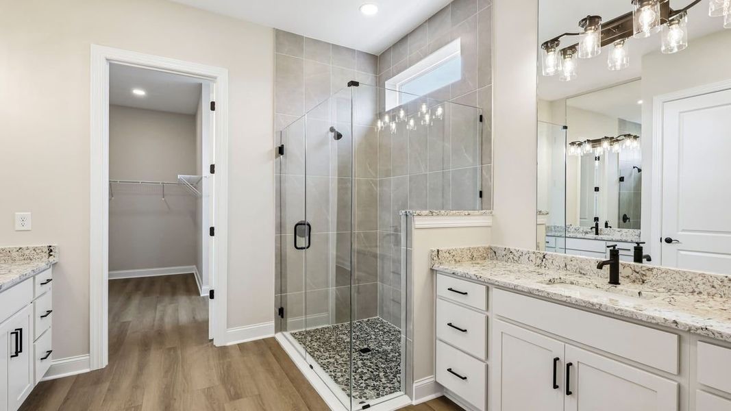 Owner's Bath