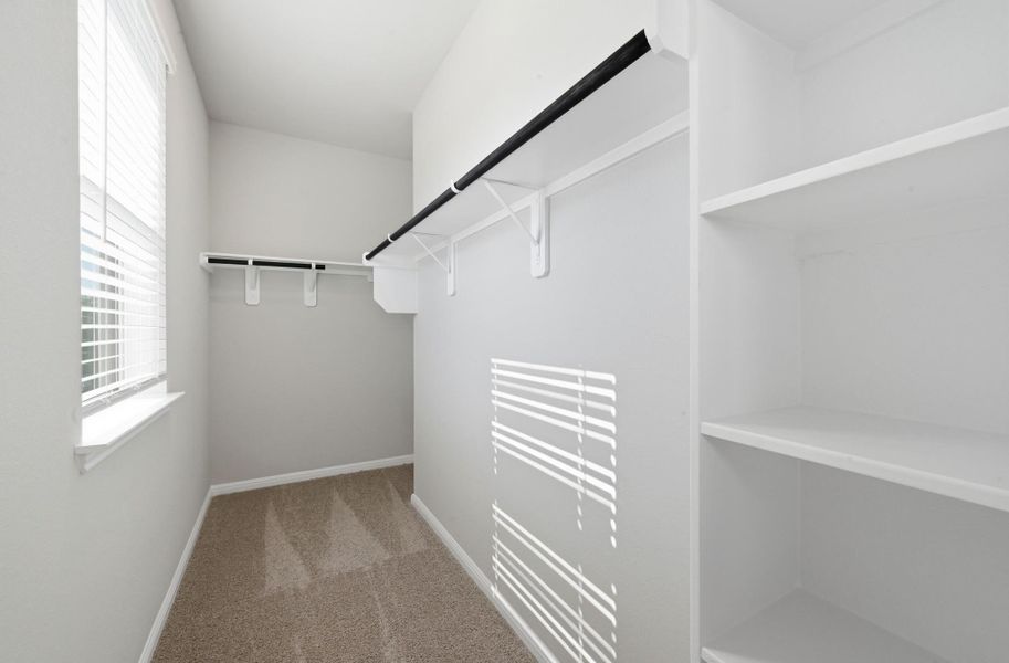 Walk-in closet featuring carpet flooring, built-in shelving, a window with blinds, and white walls Walk-in closet featuring carpet flooring, built-in shelving, a window with blinds, and white walls
