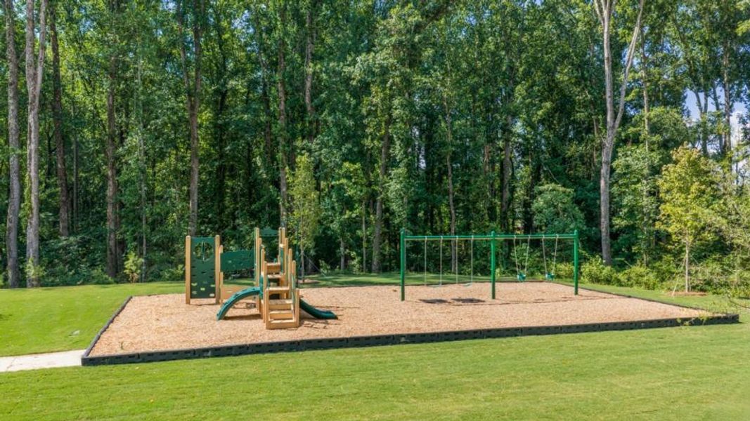 Community amenities in Grandview at Lanier, Dawsonville (Image 34).