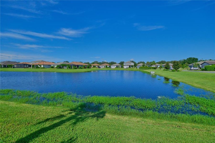 Natural landscape and outdoor views near in Bradenton (Image 57). Natural landscape and outdoor views near in Bradenton (Image 57).