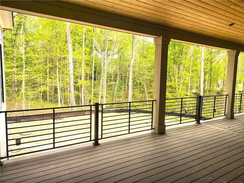 Exterior details and patio area of a home in , Ball Ground (Image 3).