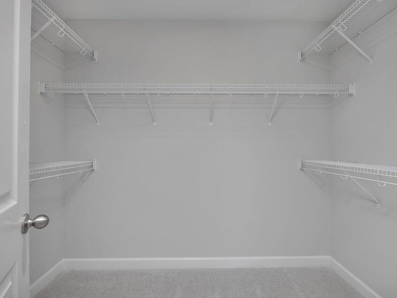 Spacious, unfurnished interior of a new home in Gregory Village, Lillington (Image 21).