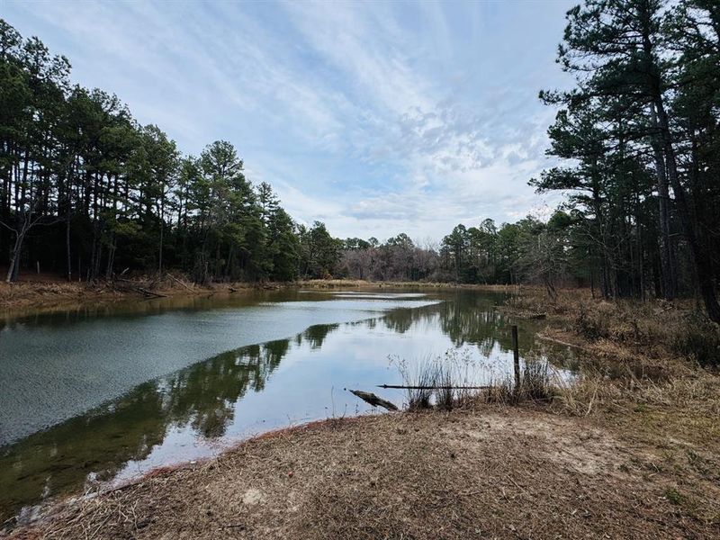 Natural landscape and outdoor views near  in Powderly (Image 17).
