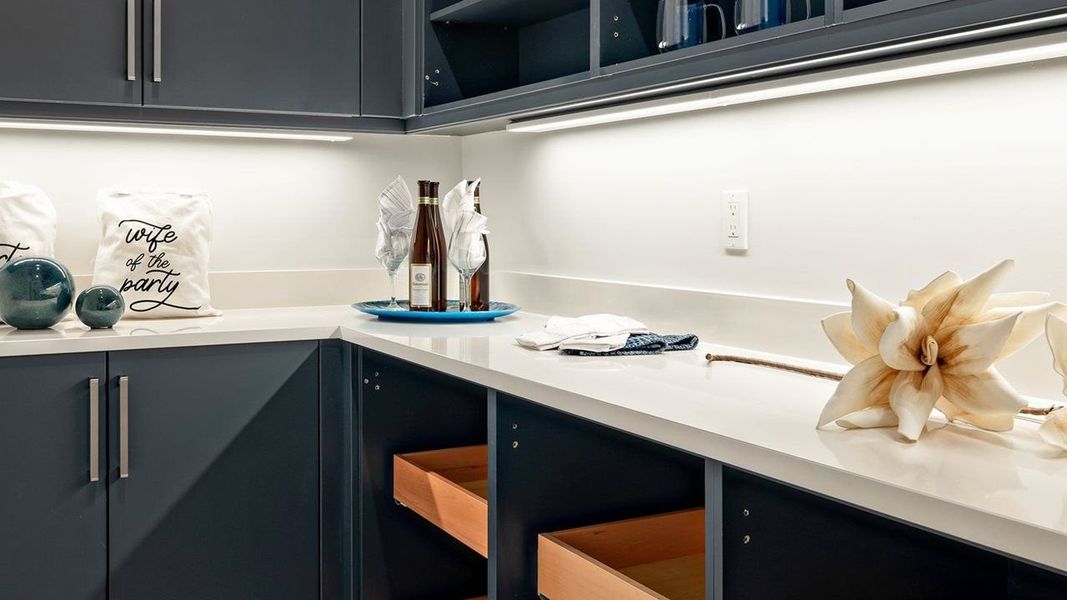 Appliance Pantry
