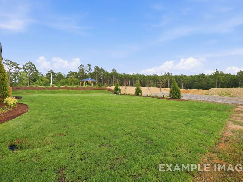 Natural landscape and outdoor views near Montrose in Aberdeen (Image 48).