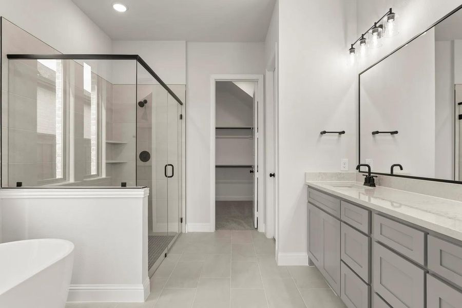 Albert II D Primary Bath