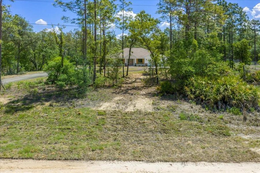 Natural landscape and outdoor views near  in Ocala (Image 72).