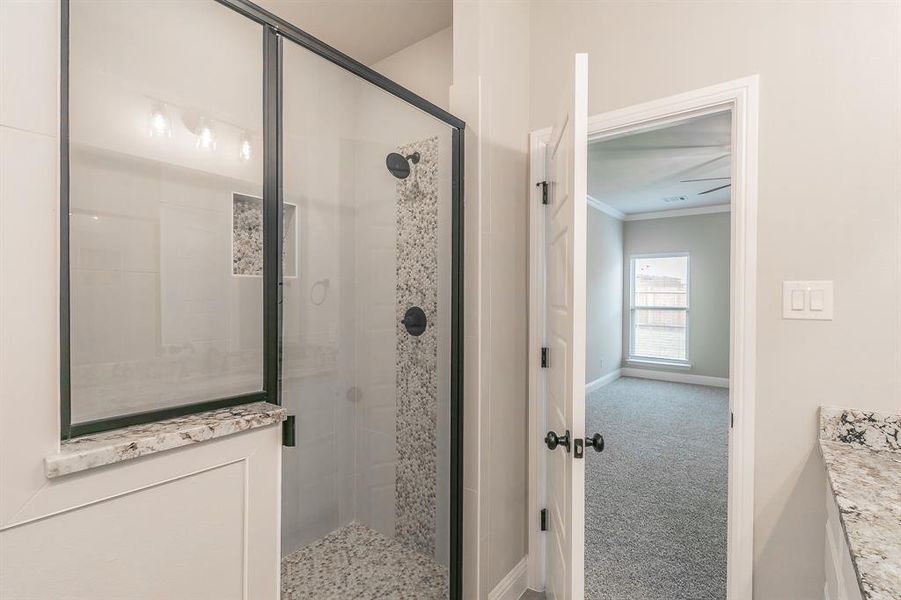 Furnished interior view inside a new home in , Alvarado (Image 6).