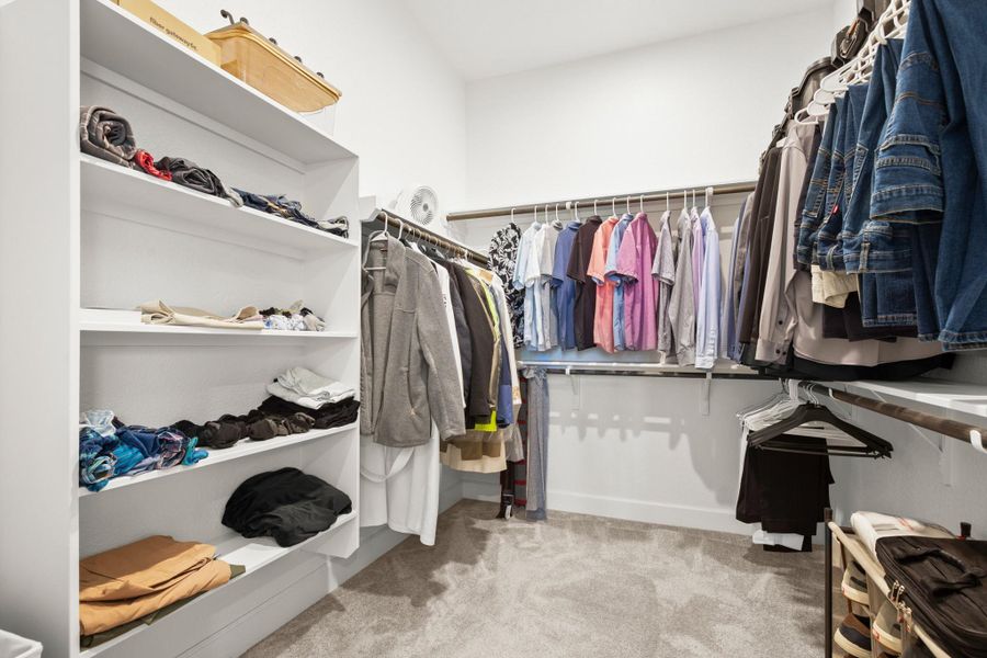 Spacious closet featuring light colored carpet Spacious closet featuring light colored carpet