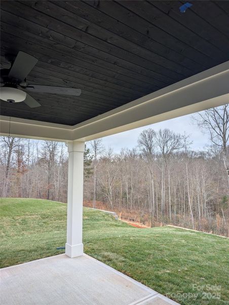 Exterior details and patio area of a home in Stoneridge Hills, Rock Hill (Image 3).