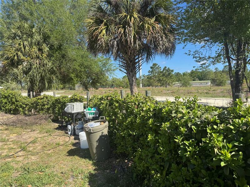Natural landscape and outdoor views near in Williston (Image 28). Natural landscape and outdoor views near in Williston (Image 28).