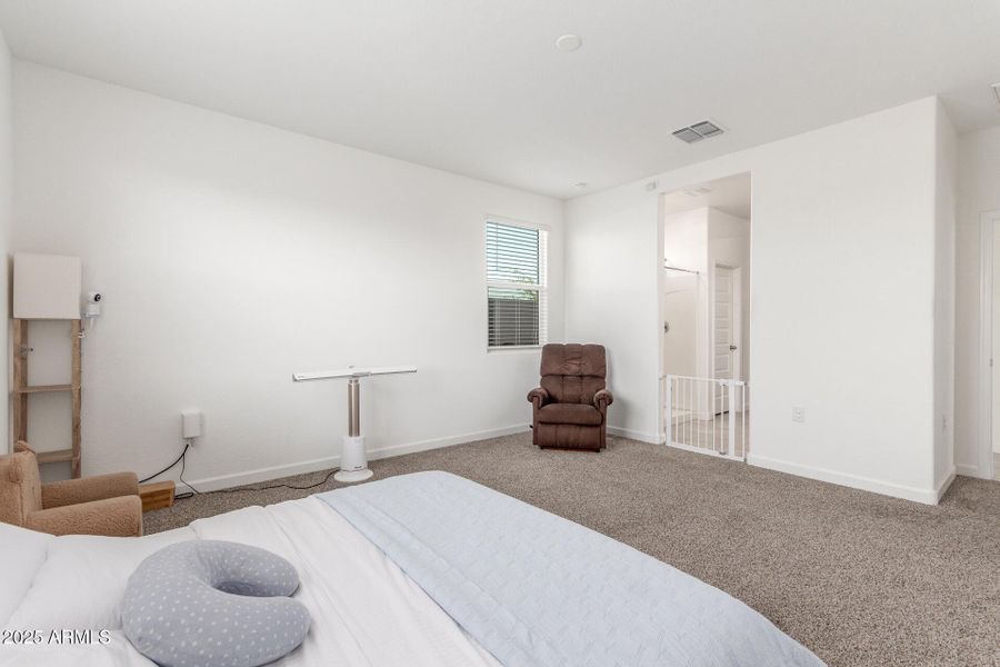 17 Shanley 17 Shanley