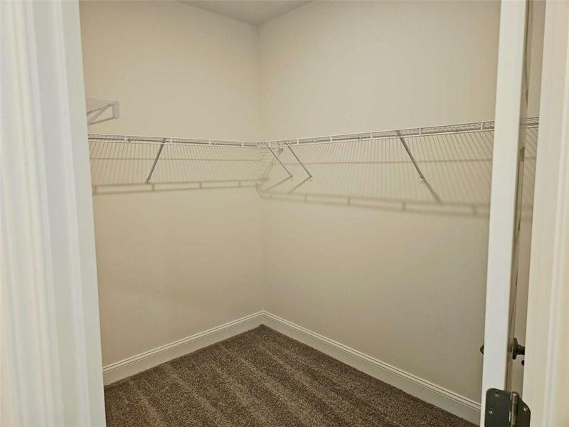 Spacious, unfurnished interior of a new home in Park Place, Bowdon (Image 11). Spacious, unfurnished interior of a new home in Park Place, Bowdon (Image 11).
