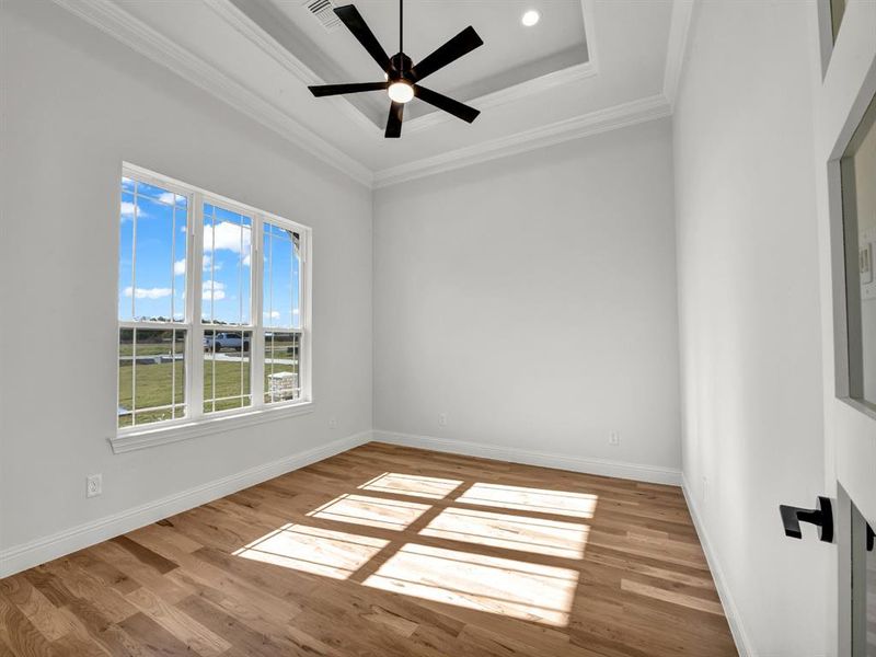 Empty room featuring ceiling fan, light wood-type flooring, and crown molding