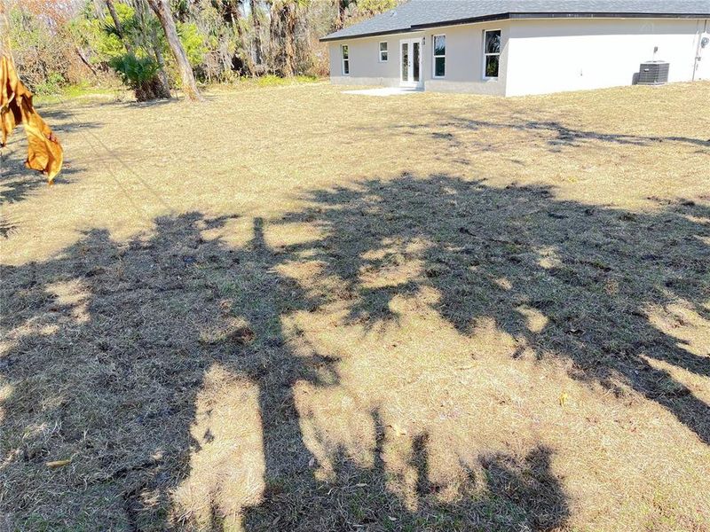 Natural landscape and outdoor views near  in Edgewater (Image 17).