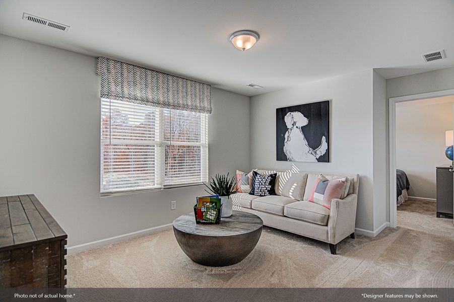 Furnished interior view inside a new home in Langdon Preserve, Angier (Image 14).