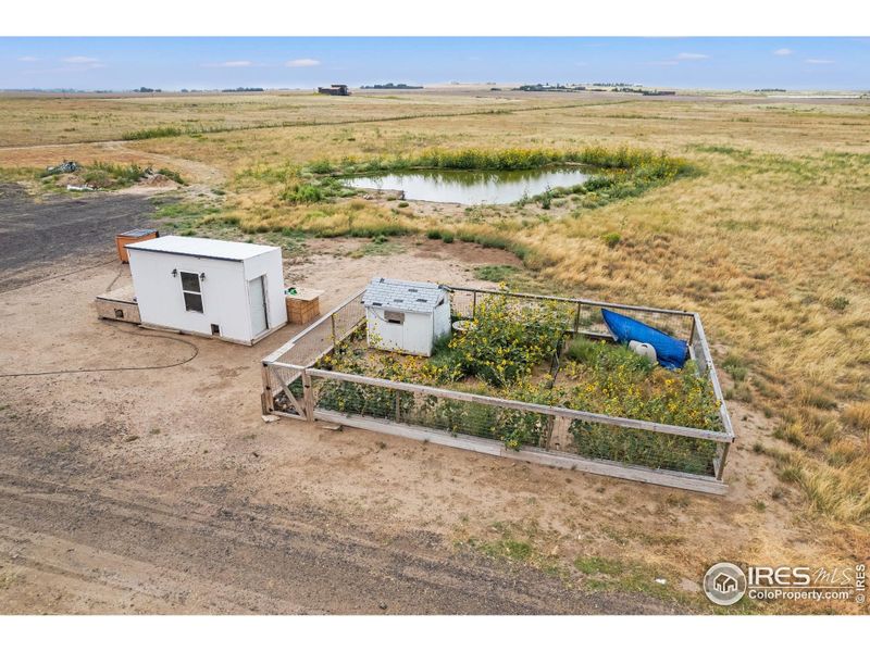 Chicken coop and fenced dog kennel, providing space for animals and homestead living with the convenience of improvements already in place