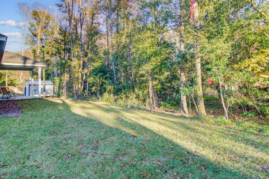 Natural landscape and outdoor views near  in St. Stephen (Image 34).