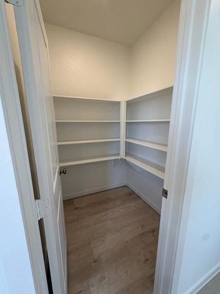 Oversized walk in panty! Oversized walk in panty!