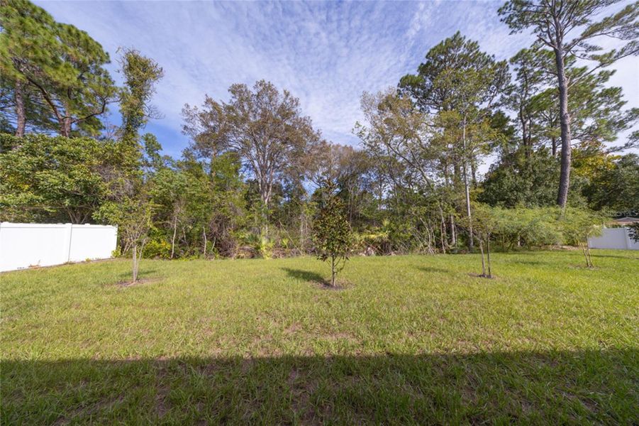 Natural landscape and outdoor views near Palm Coast in Palm Coast (Image 22). Natural landscape and outdoor views near Palm Coast in Palm Coast (Image 22).