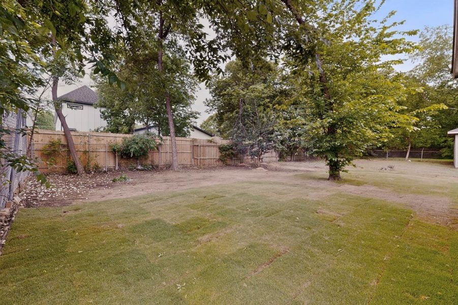 Natural landscape and outdoor views near  in Dallas (Image 25).