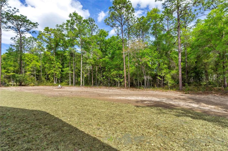 Natural landscape and outdoor views near  in Ocala (Image 47).