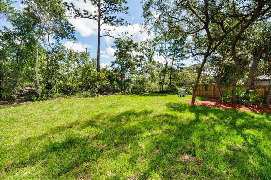 Natural landscape and outdoor views near  in Orange City (Image 22).