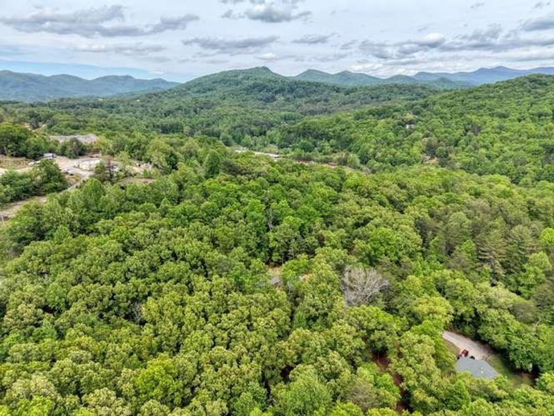 Natural landscape and outdoor views near  in Blairsville (Image 29).