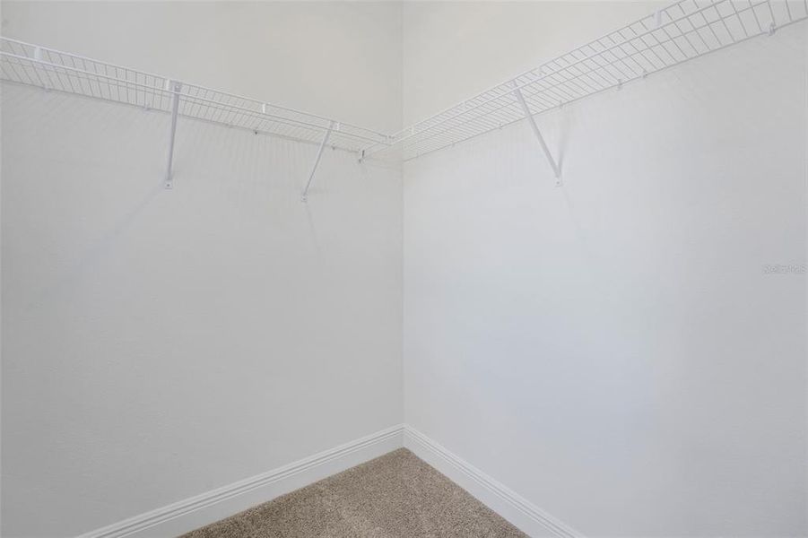 Spacious, unfurnished interior of a new home in Palms at Windermere, Windermere (Image 31).