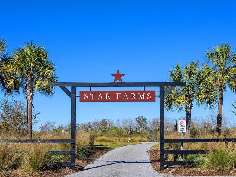 Image 86 of a home in Star Farms at Lakewood Ranch.